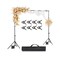 Adjustable Backdrop Stand Carbon Steel Photography Studio Frame